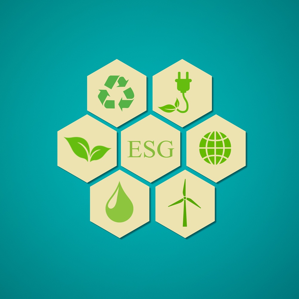 Module zum ESG